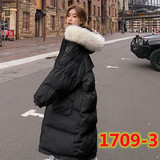 1709-TNF (woman)-size：S-XL-45.98USD